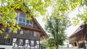 Zugerberg Finanz Weekly and Monthly Financial Reports
