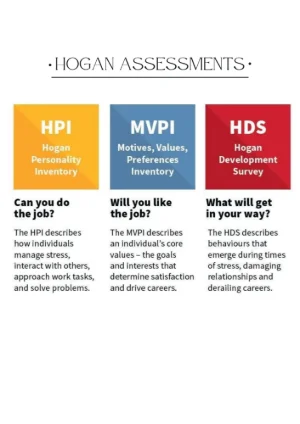 No.3 Hogan Assessment: Precision Leadership Insight