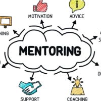 What Is the Difference between Mentoring, Coaching, and Training – And Why Our PWN Mentoring Programme Is a Game-Changer