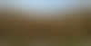 thay-pellerin-c8aKLAoLias-unsplash